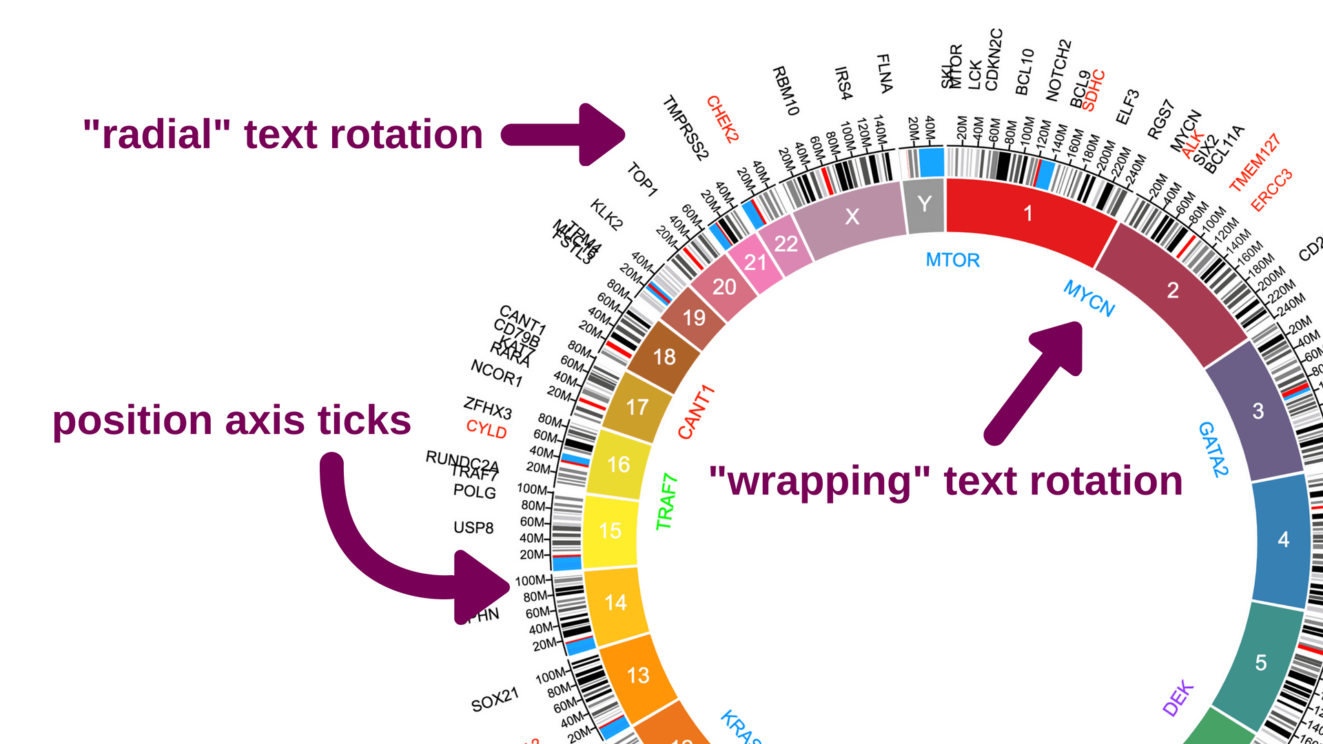 text rotations